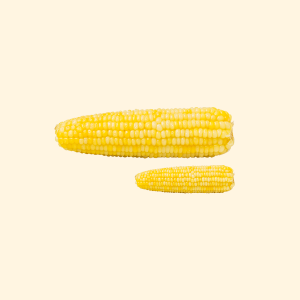 corn